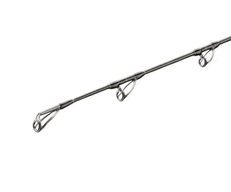 Daiwa BG Deep Sea Boat Rod