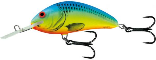 Salmo Hornet 4 cm (17 options) - Chartreuse Blue