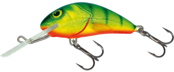 Salmo Hornet 6 cm (10 options) - Hot Perch