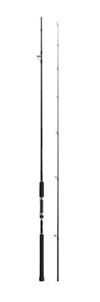 Shimano Salty Advance Spinning Sea Bass Rod