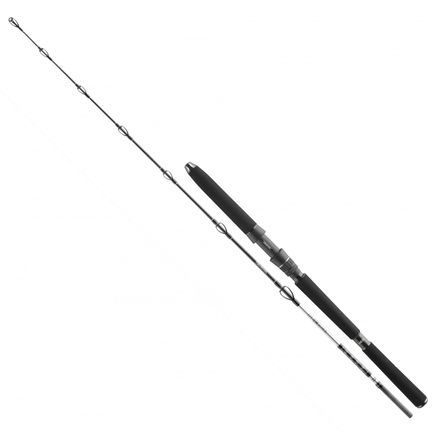 Daiwa BG Deep Sea Boat Rod