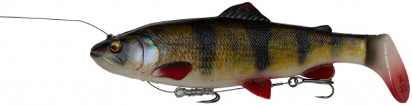 Savage Gear 4D Line Thru Rattle Trout 27,5cm, Limited Edition prints with scents! - Perch