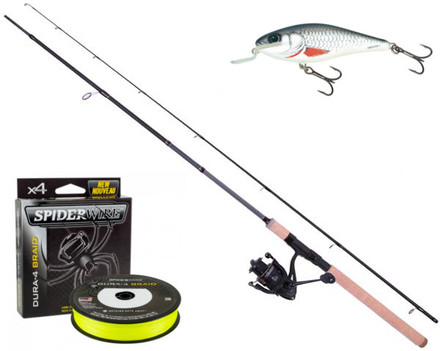 Fox Rage Warrior 2 Spin Set including Braid and Salmo Lure
