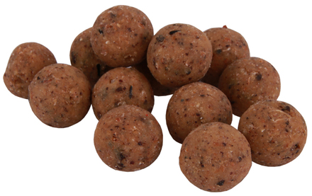 Premium Readymade The Nutz Boilies in 15 or 20 mm