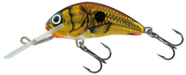 Salmo Hornet 6 cm (10 options) - UV Gold Shiner