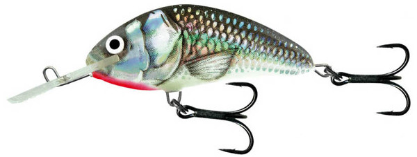 Salmo Hornet 4 cm (17 options) - Holo Grey Shiner