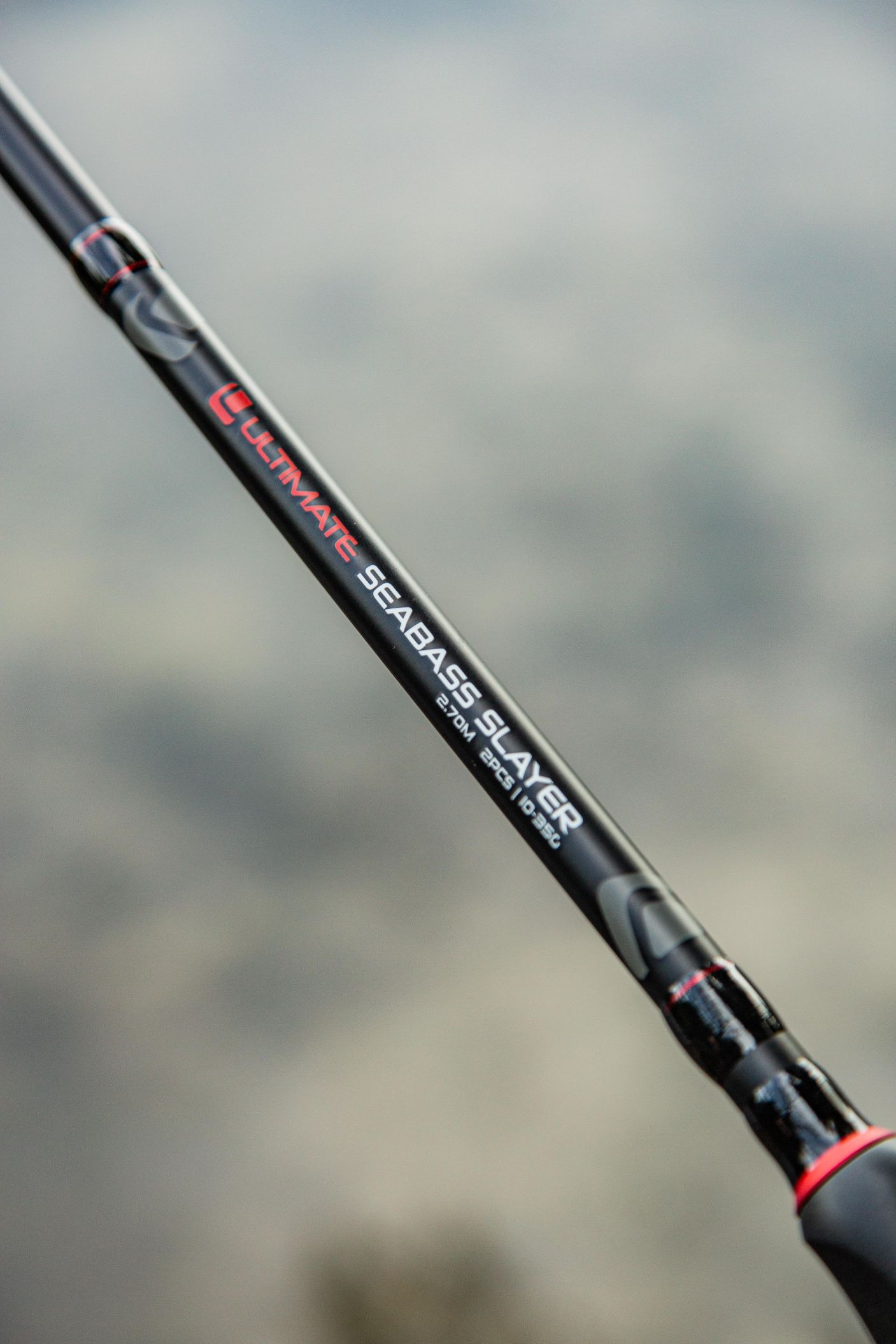 Ultimate Seabass Slayer Sea bass rod