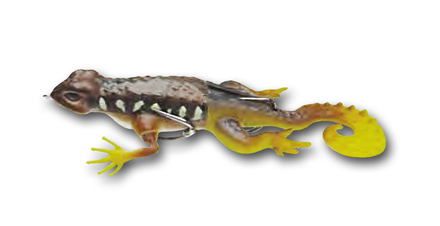 Behr Trendex Gecko Surface Lure 13.5cm (21g)