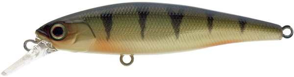 Illex Squad Minnow - Perch