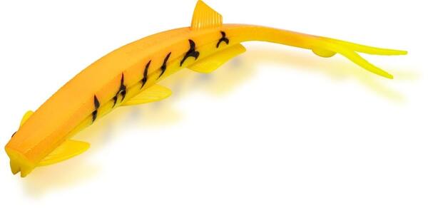 Black Cat Pelagic Suspending Shad Catfish Lure 27cm (60g) - Yellow Zombie