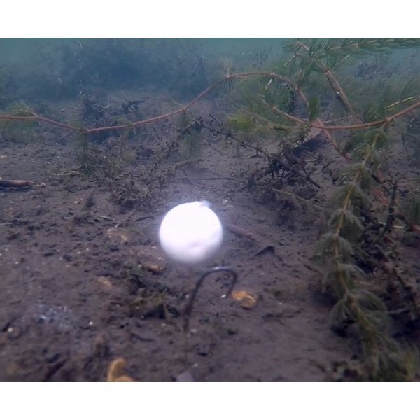 Dynamite Baits Hit N Run Pop Ups (12mm) - White