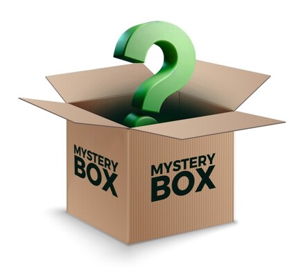 Carp Mystery Box