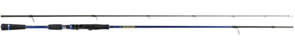 Molix Saltwater Squid Spinning rod