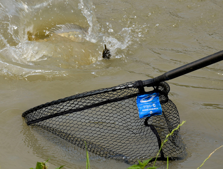 Coarse landing nets